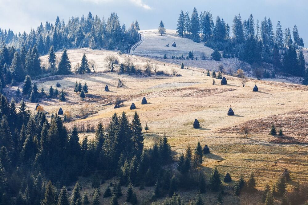 ПЕРВОЕ УТРО ПЕРВОГО СНЕГА. /серия/