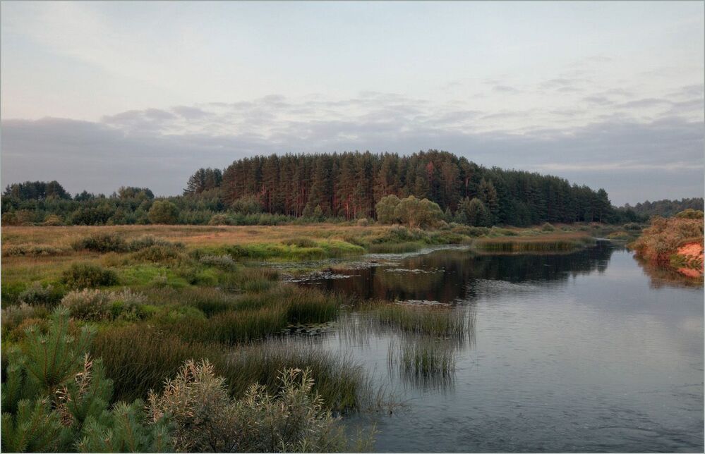В догорающих лучах