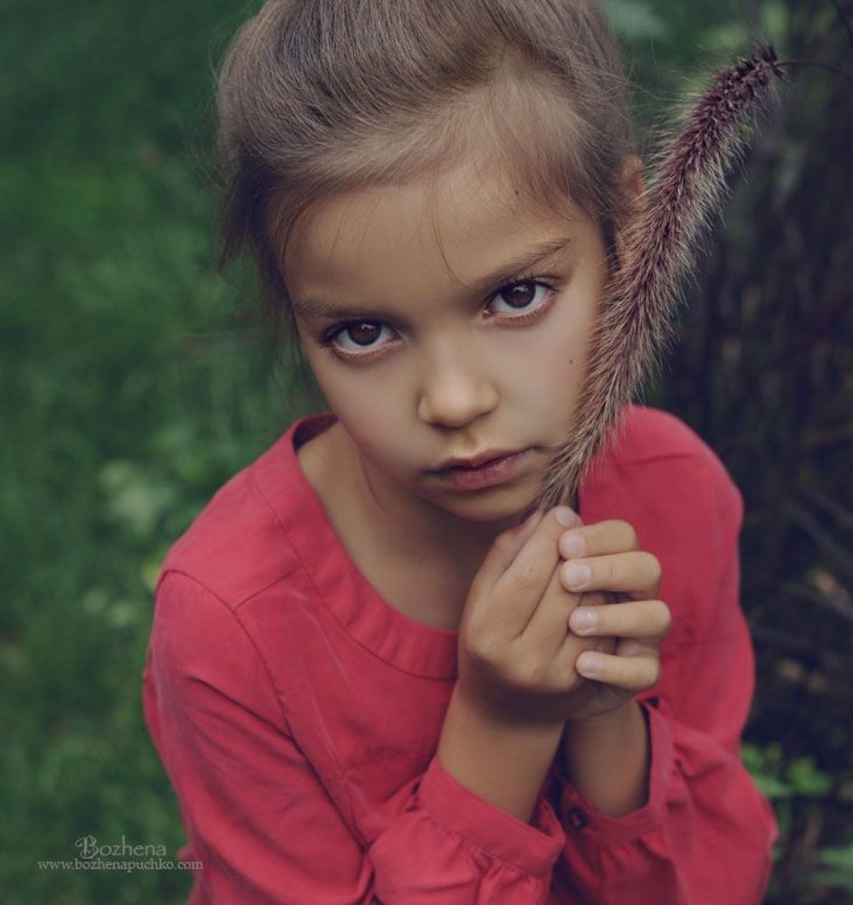 Photo 431364