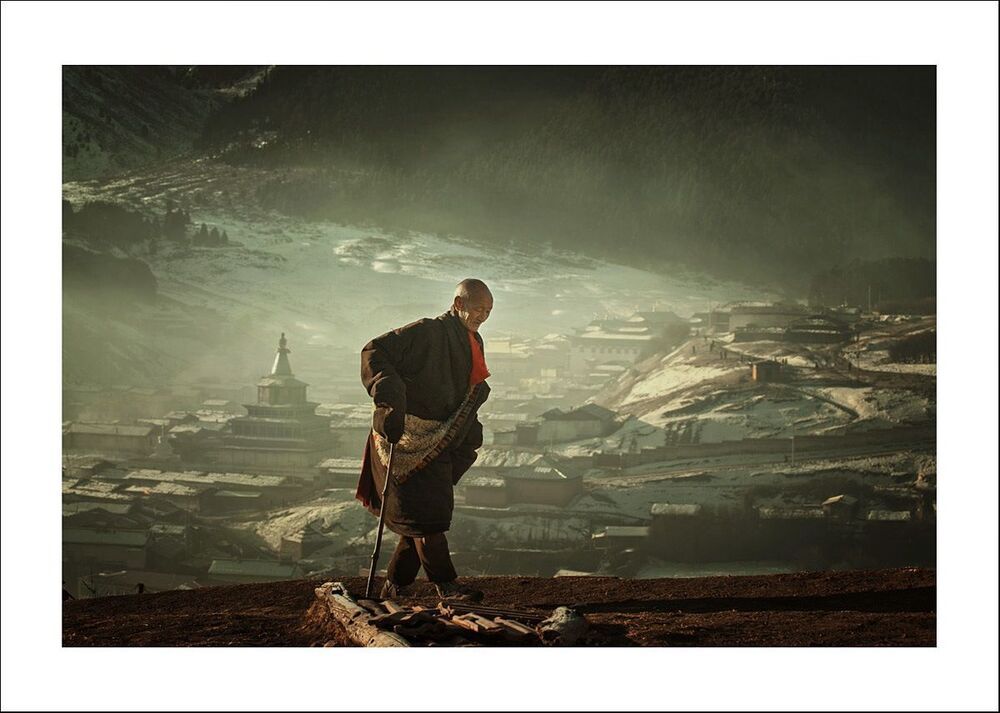 环境人像