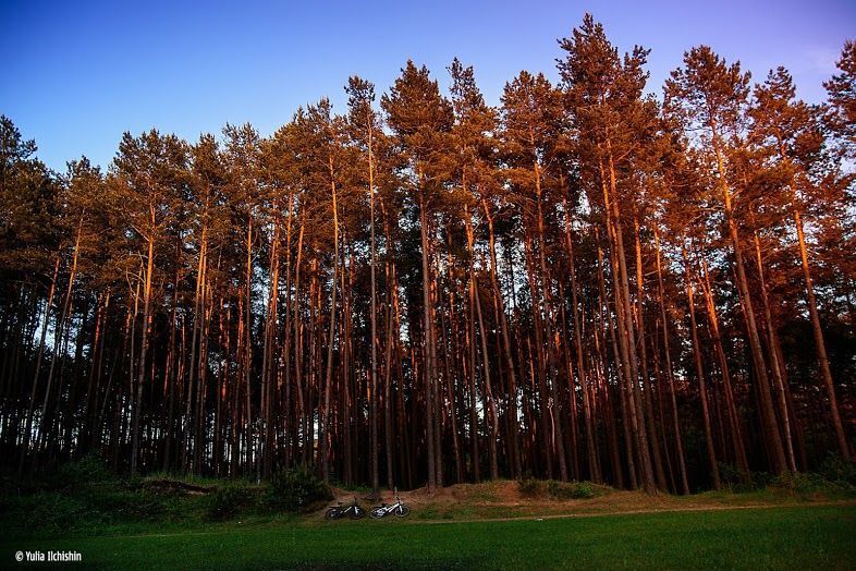 Велопрогулка