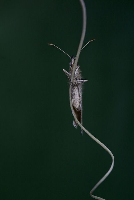 Photo 432870