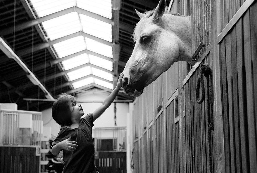 Kid and a horse