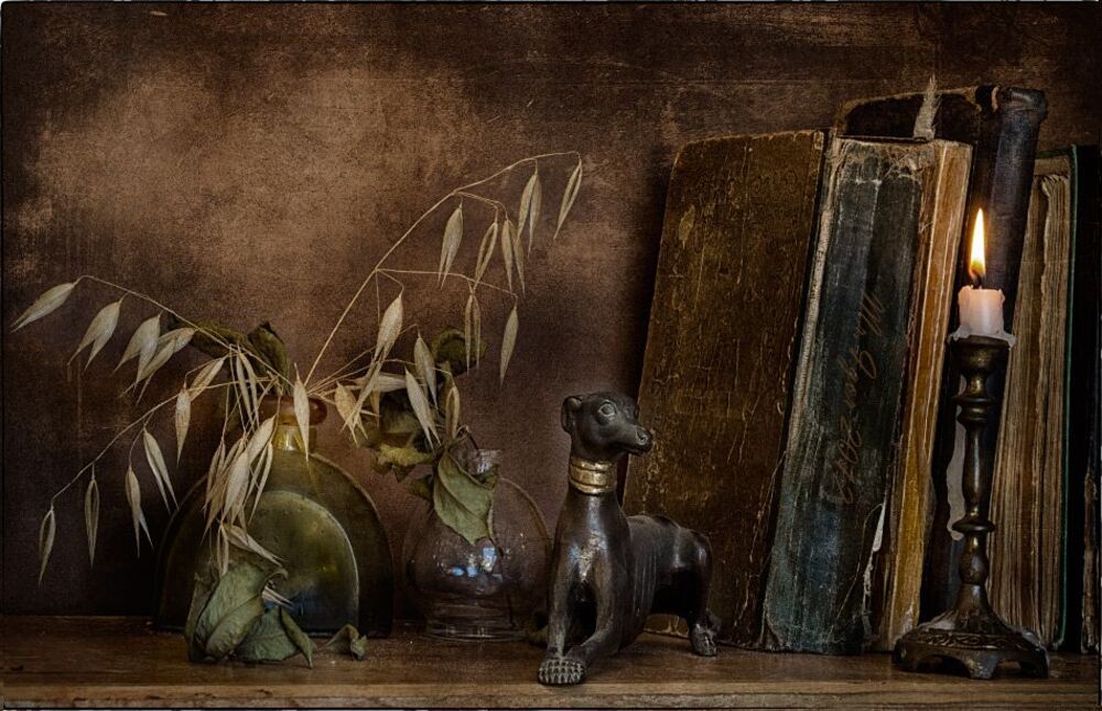 Книжная сага