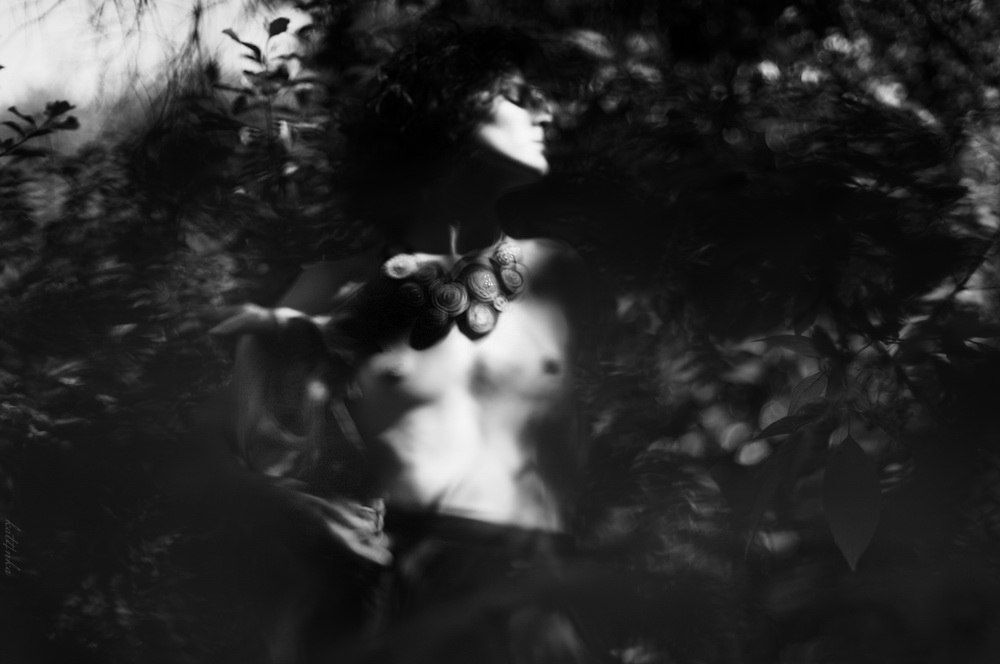 Photo 434695
