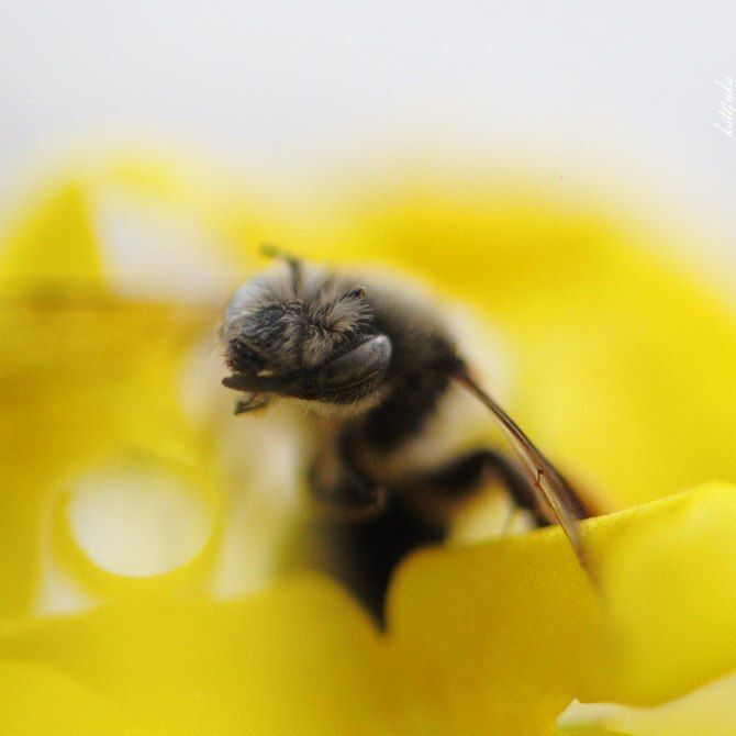 Photo 434697