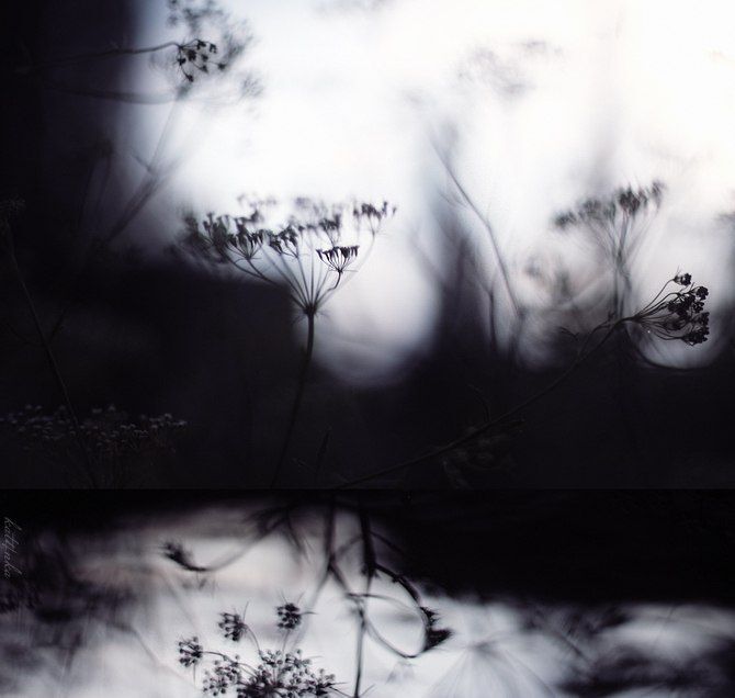 Photo 434700
