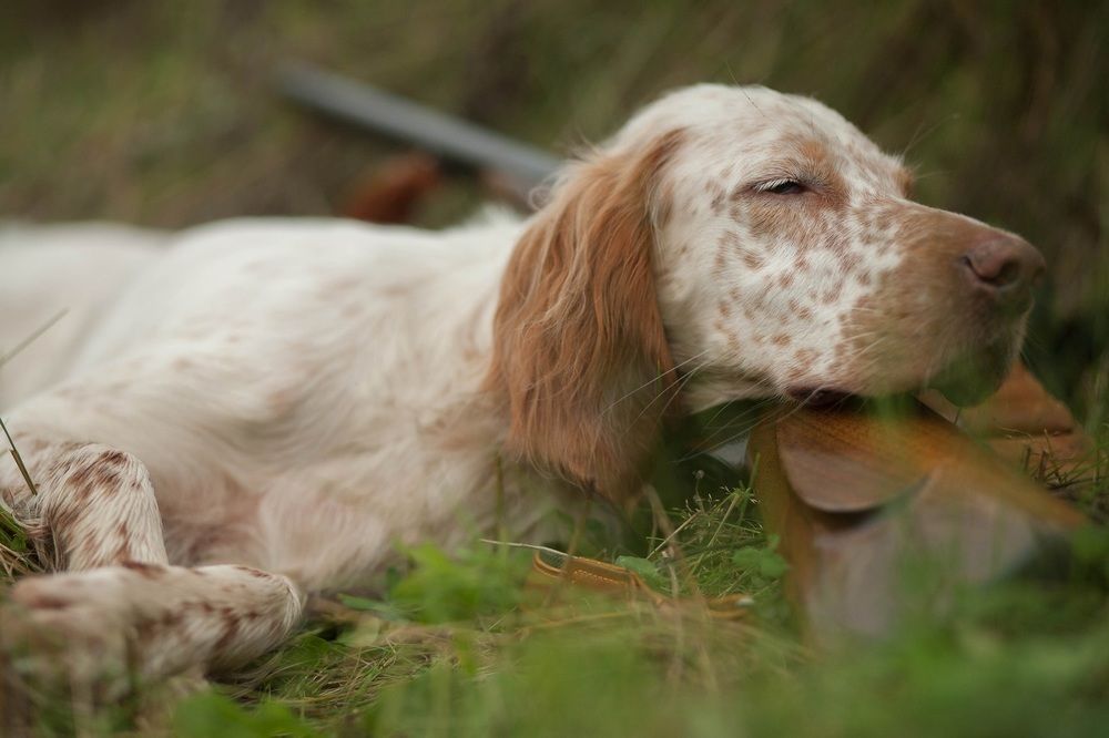 Короткий отдых.