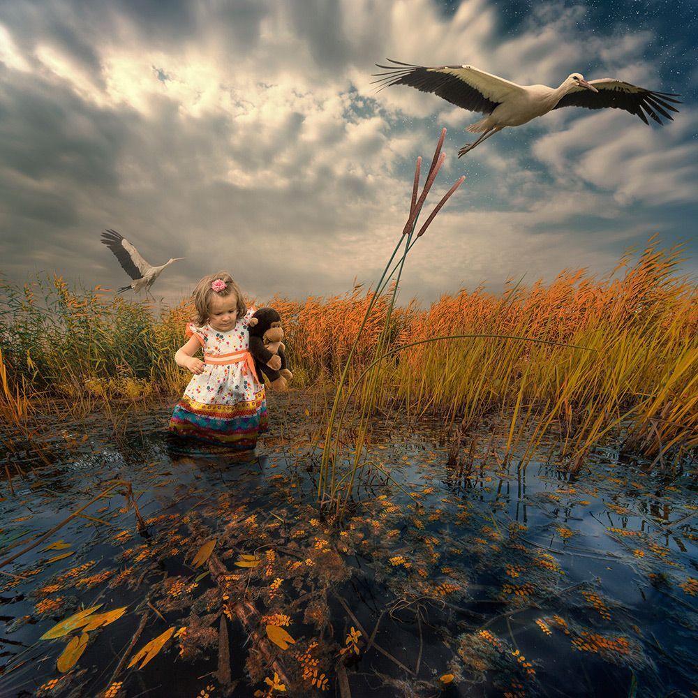 The ground flight