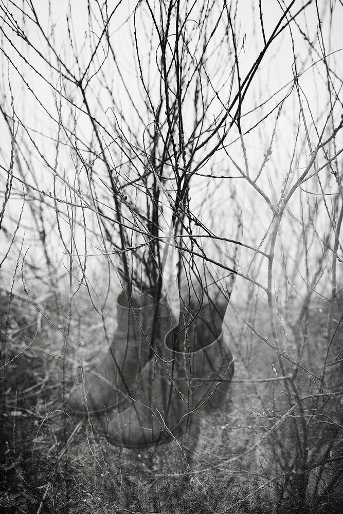 Photo 436779