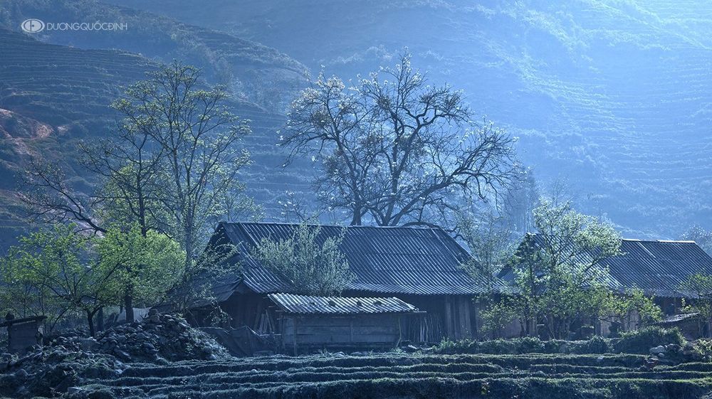 DQD Landscape 10