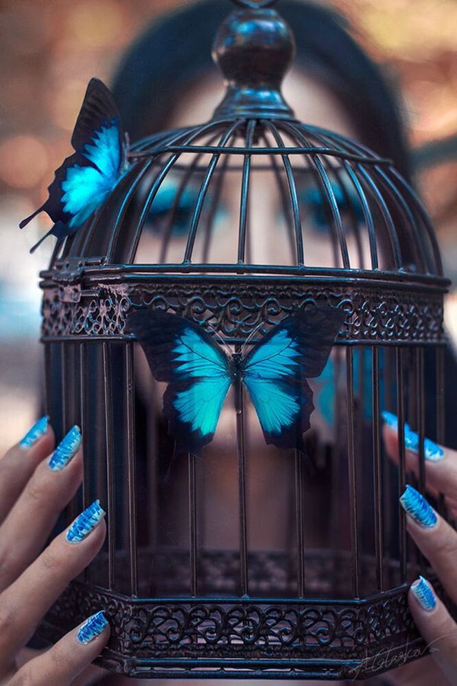 Moonlight dance
