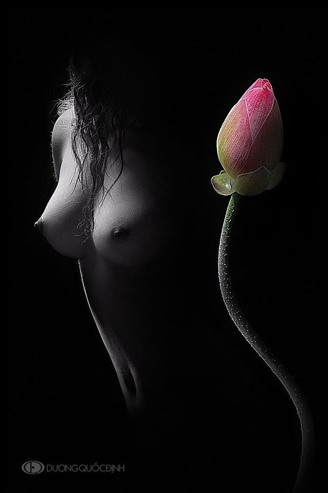 DQD Nude Art 54