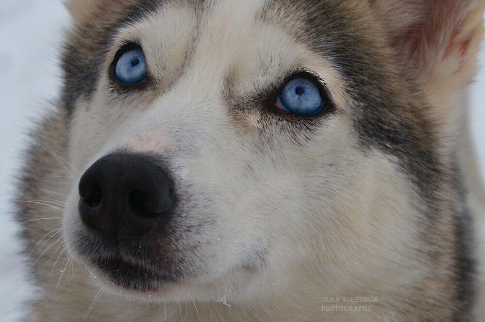 Photo 437755