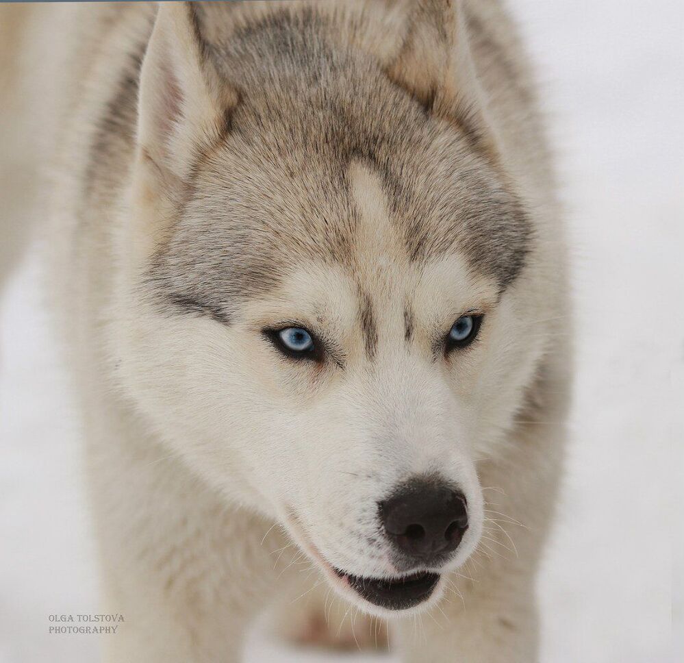 Photo 437756