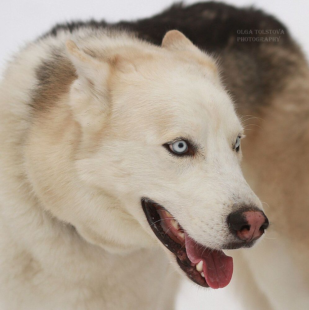 Photo 437758