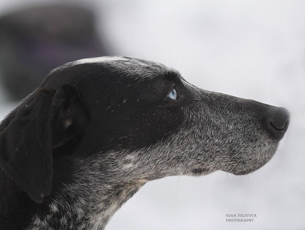 Photo 437760