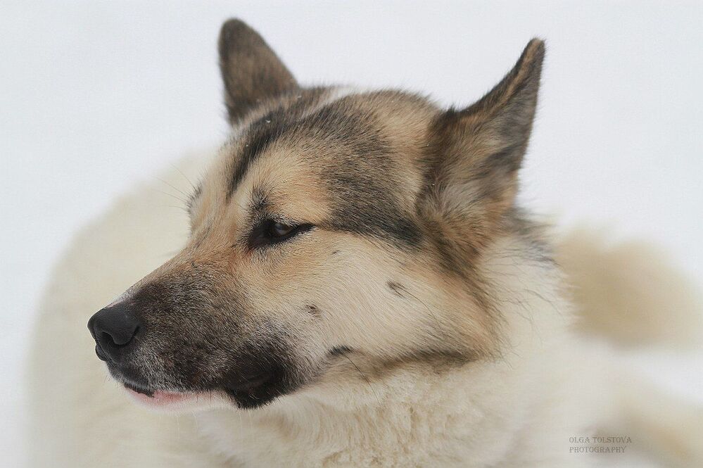 Photo 437761