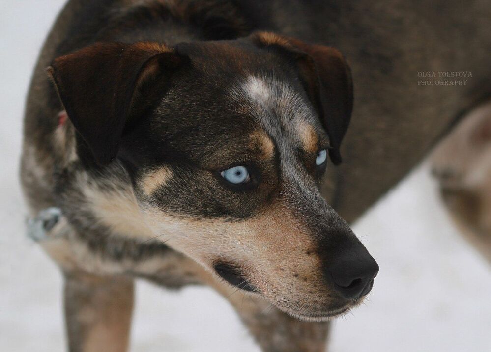 Photo 437762