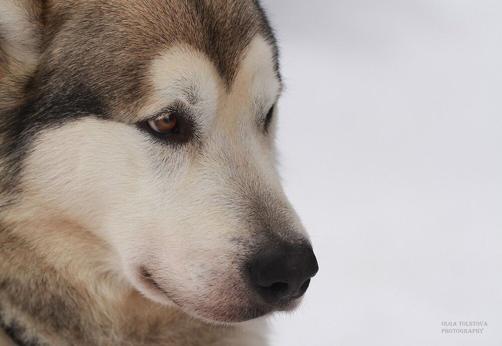 Photo 437764