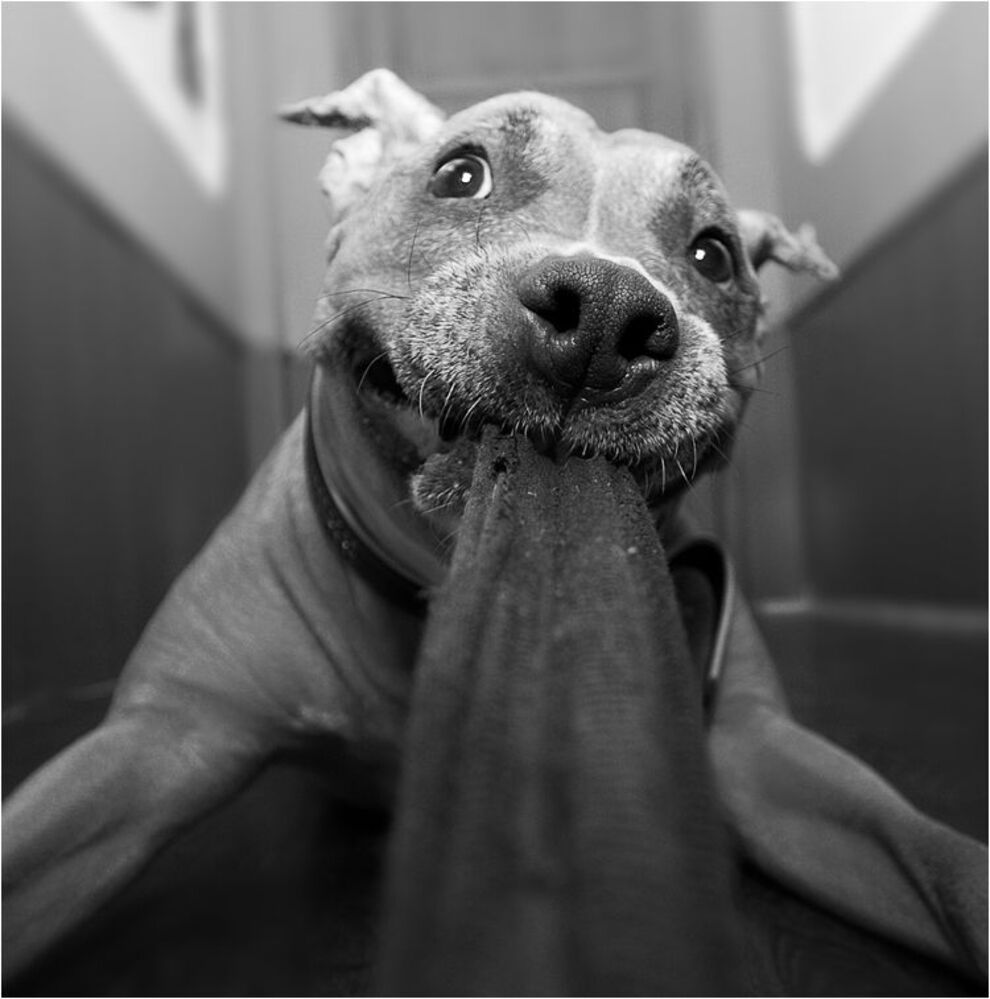 the best friend
