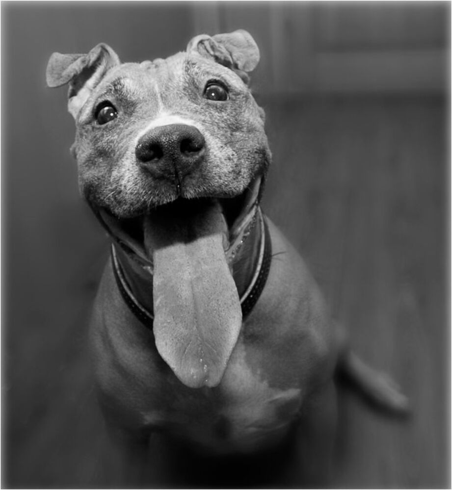 the best friend