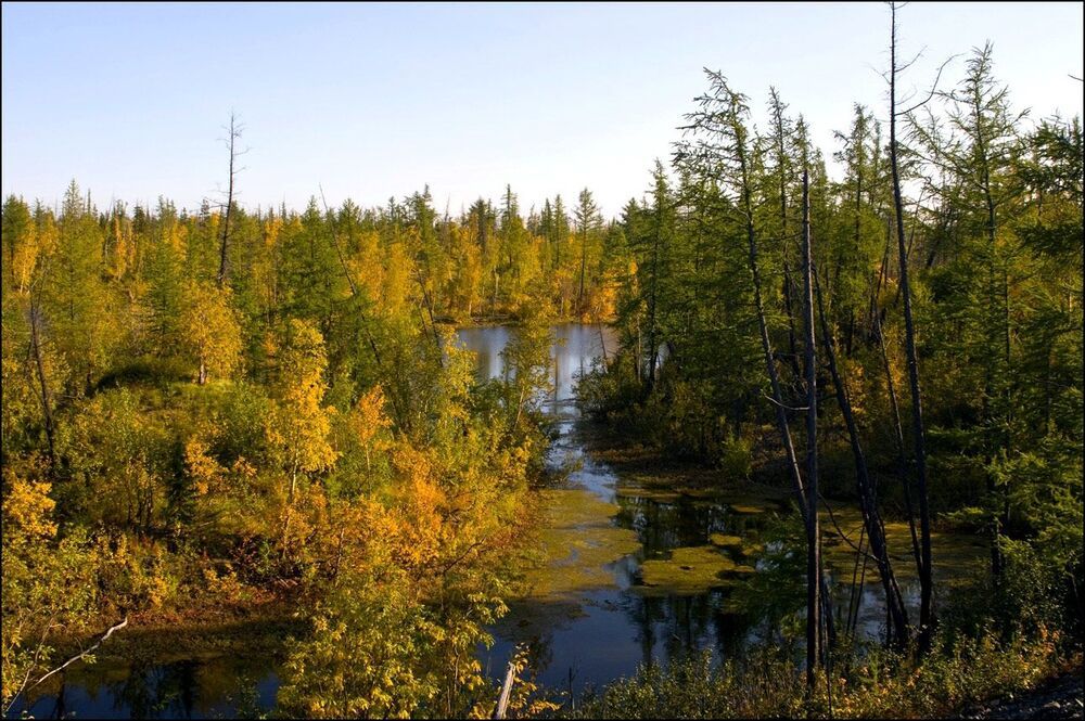 Вот и осень