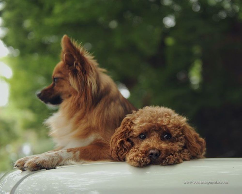 Friends :)