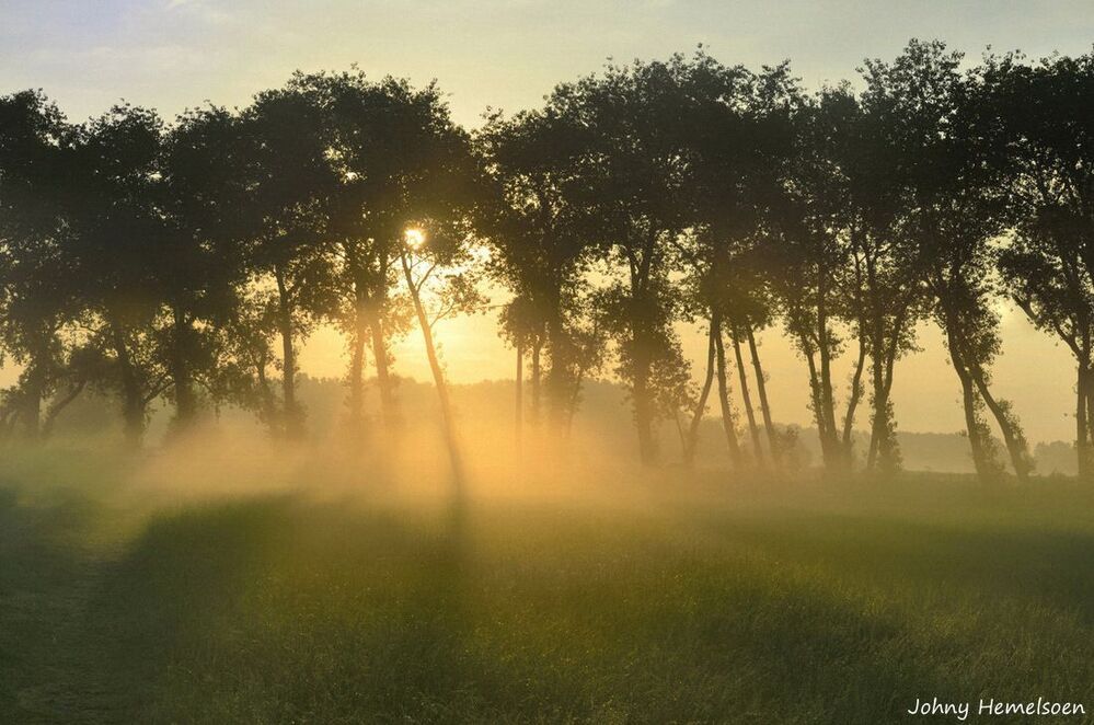 Early in the morning.