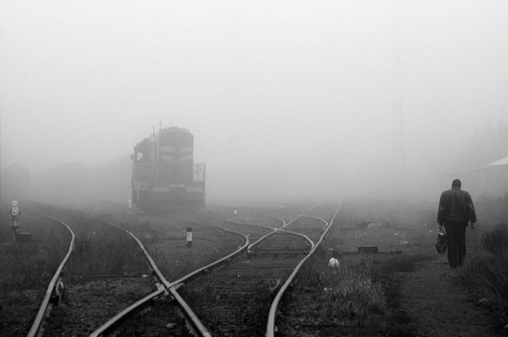 Photo 44479