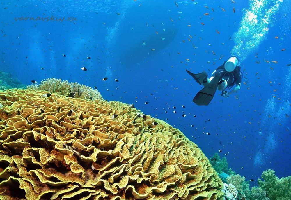 Пейзажи красного моря