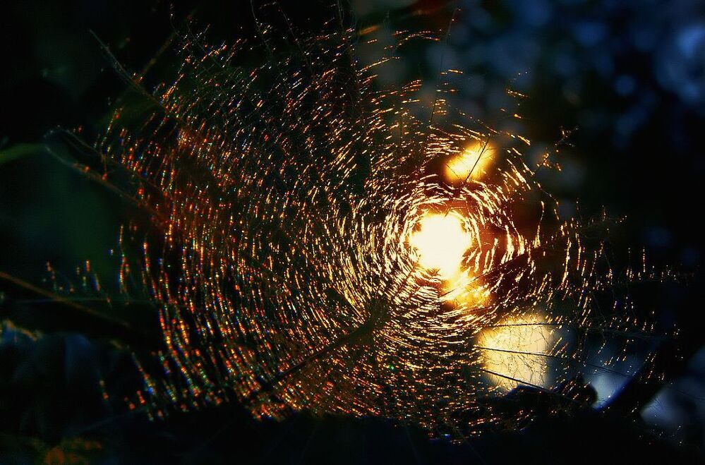 ver 3 , dying sun , Я ценю любое мнение