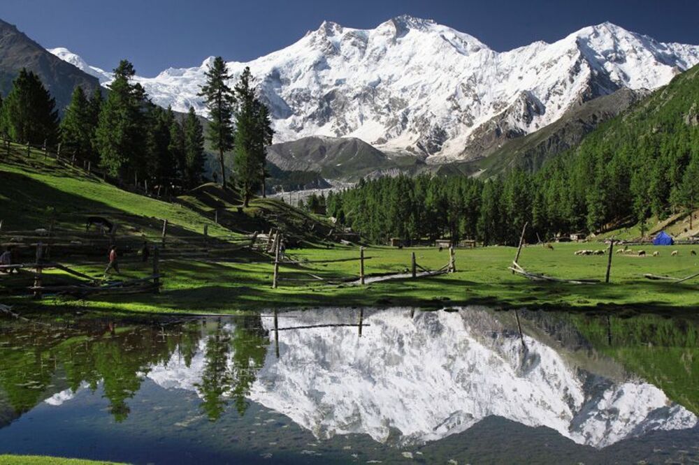 Nanga Perbat
