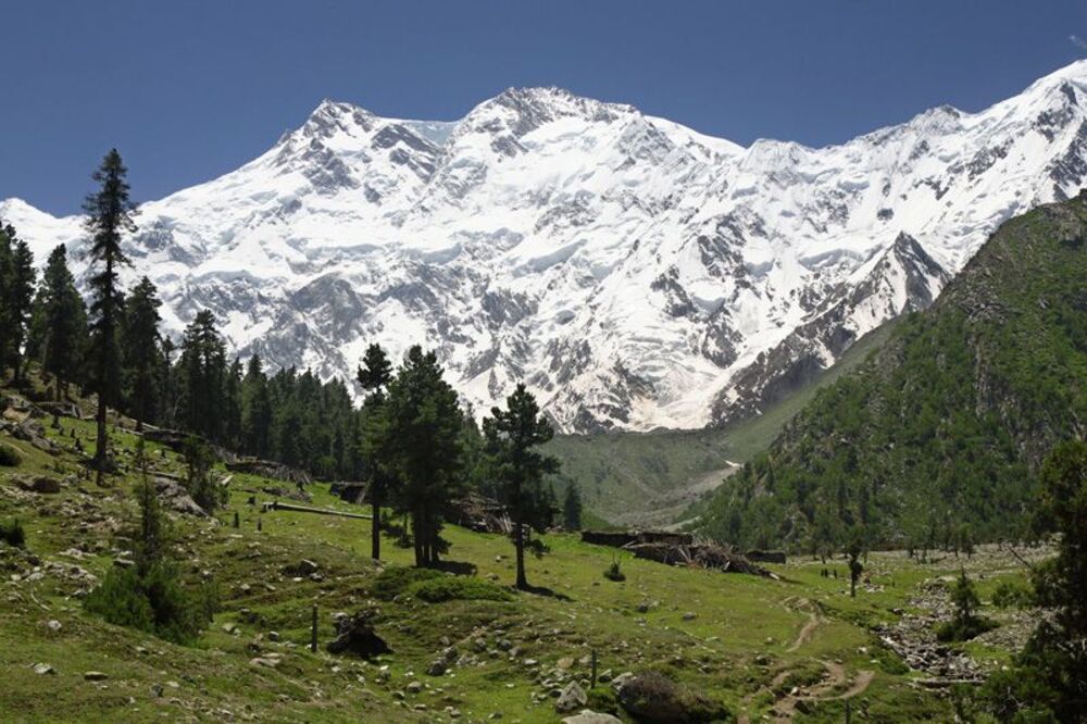 Nanga Perbat