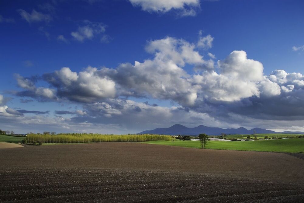 Ulster Landscape