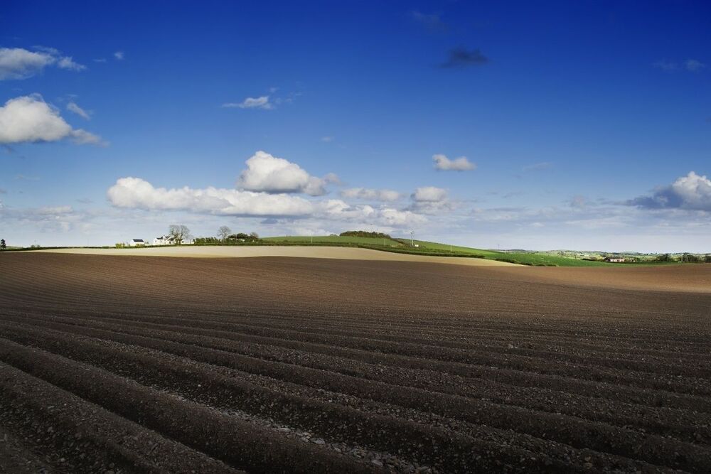 Ulster Landscape