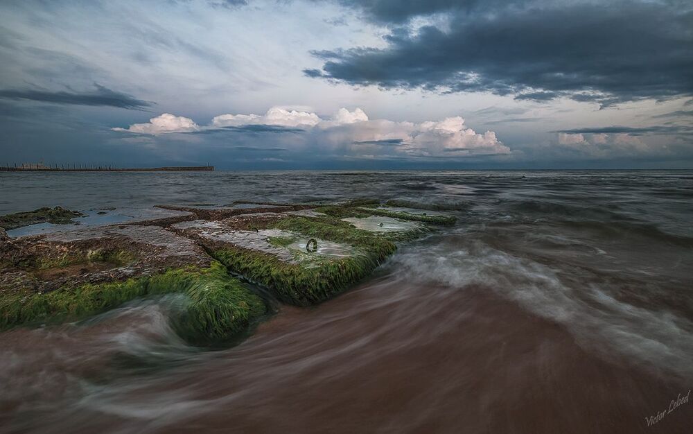 И к морю осень подобралась