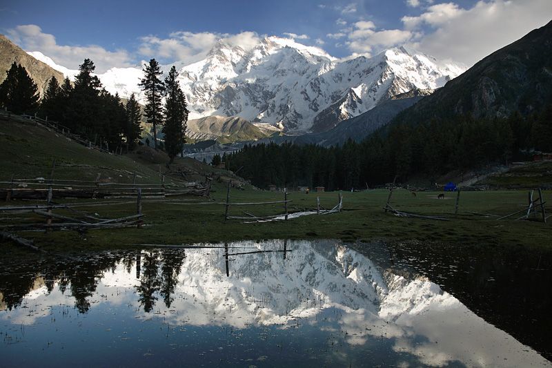 Nanga Perbat