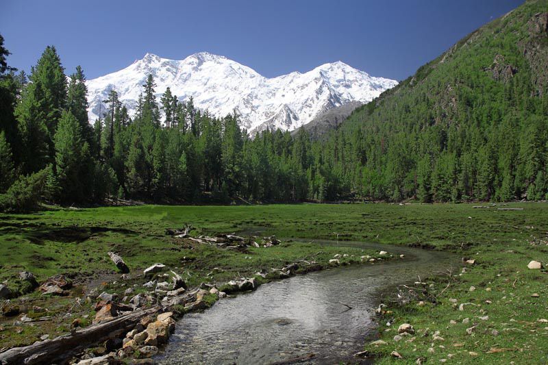 Nanga Perbat