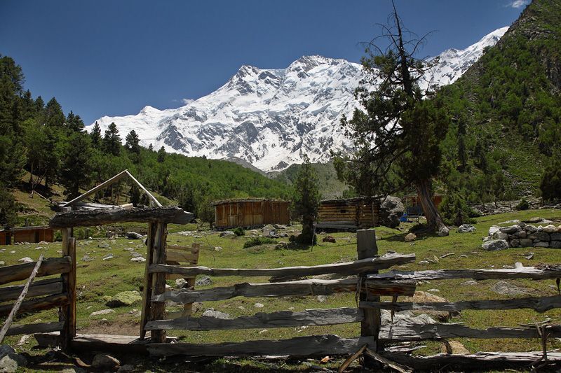 Nanga Perbat
