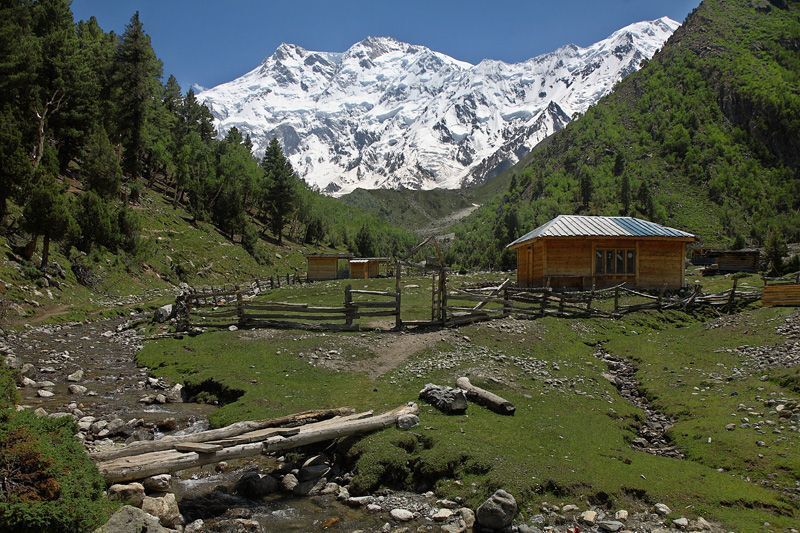 Nanga Perbat