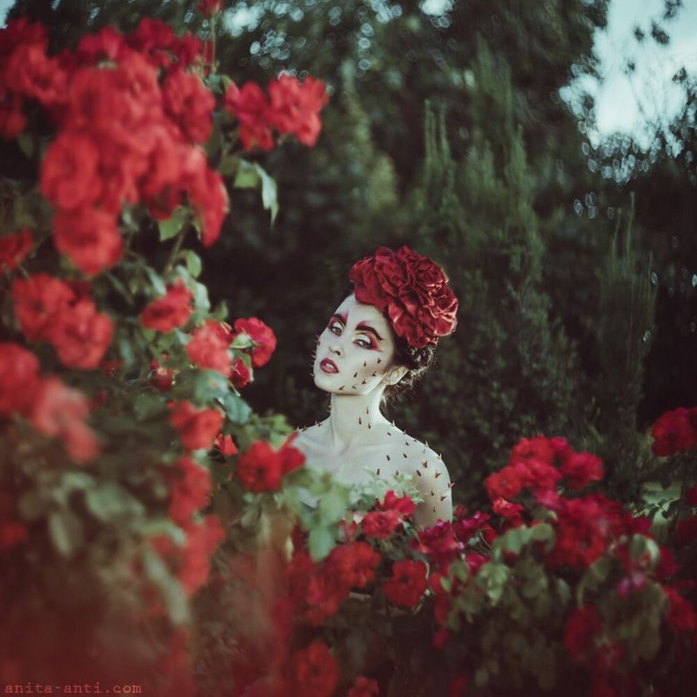 Roses & thorns