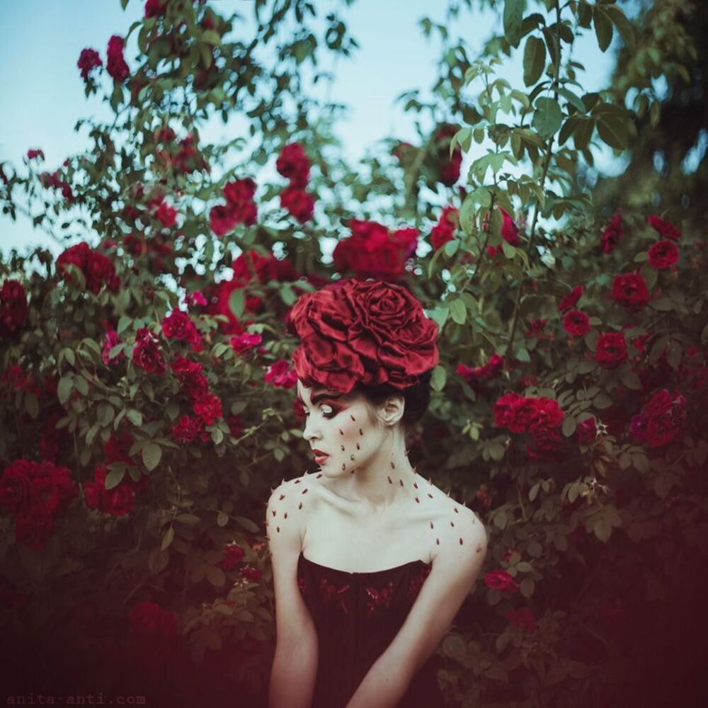Roses & thorns