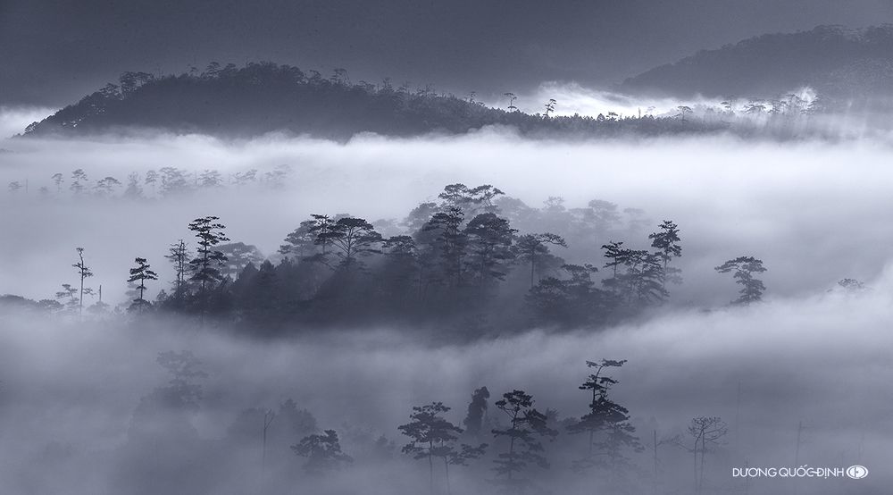 DQD Landscape 021