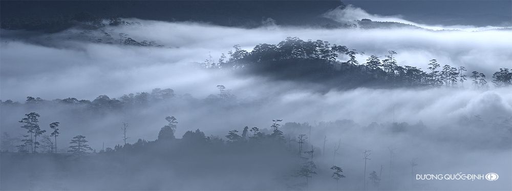 DQD Landscape 022