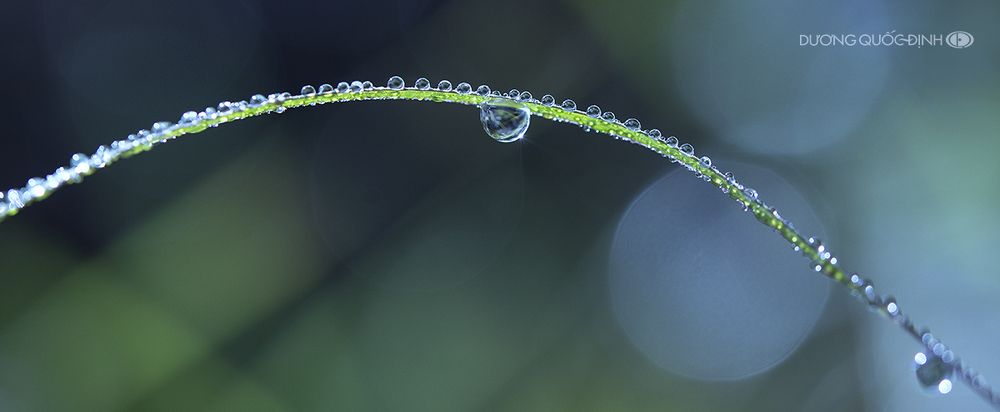 DQD Macro 046