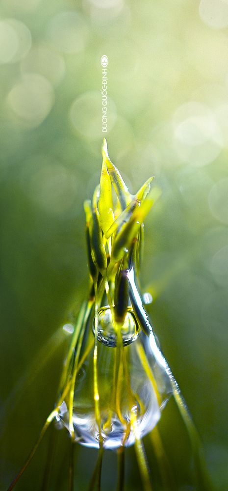 DQD Macro 048