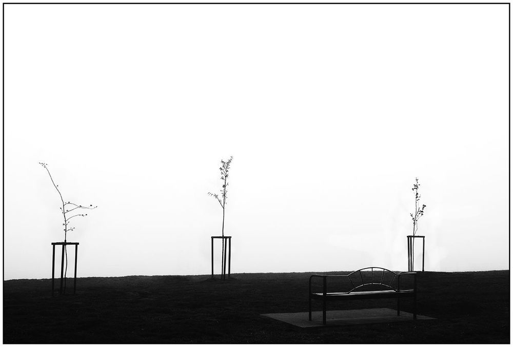10 Фотографий.