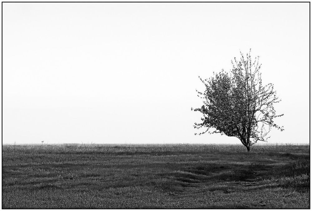 10 Фотографий.