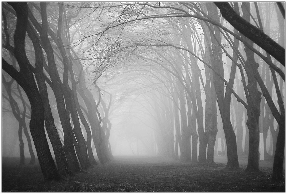 10 Фотографий.